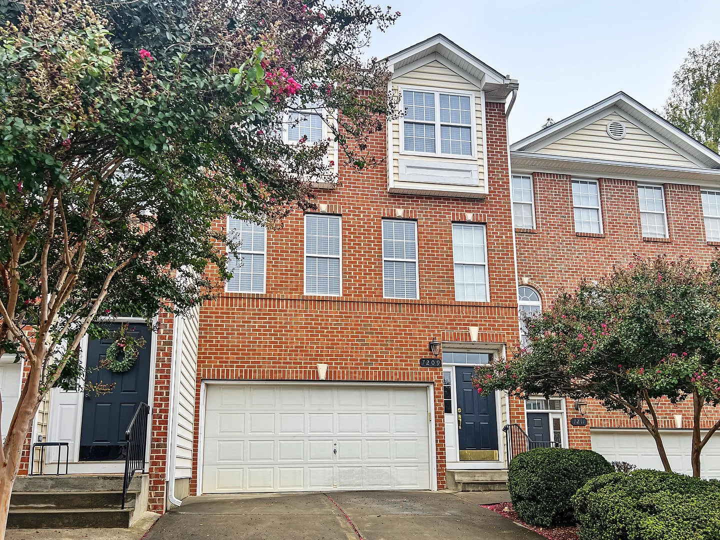 North Raleigh Delight! — Photo 1