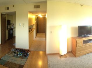 728 1st St SW, Rochester, MN 55902