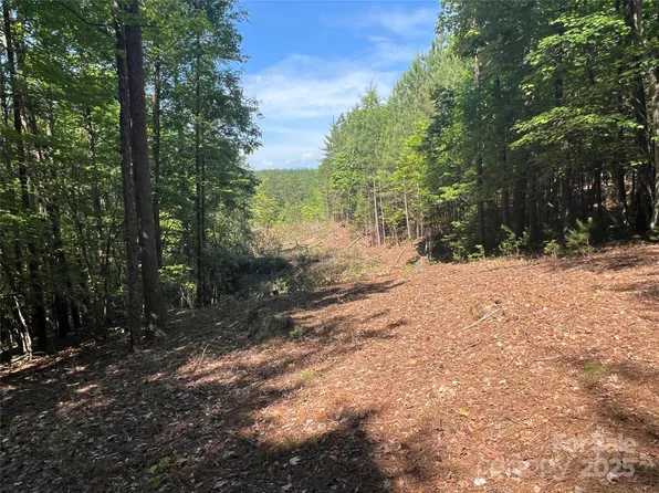 0 S Mountain Dr #16, Nebo, NC 28761