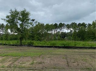 123 Carapace Ct, Richmond Hill, GA 31324