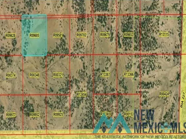 LOT 40 La Tinaja Trl, Pinehill, NM 87357