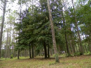 17201 Hanna Rd, Lutz, FL 33549