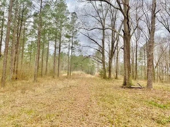0 Z C Rushing Rd, Tylertown, MS 39667