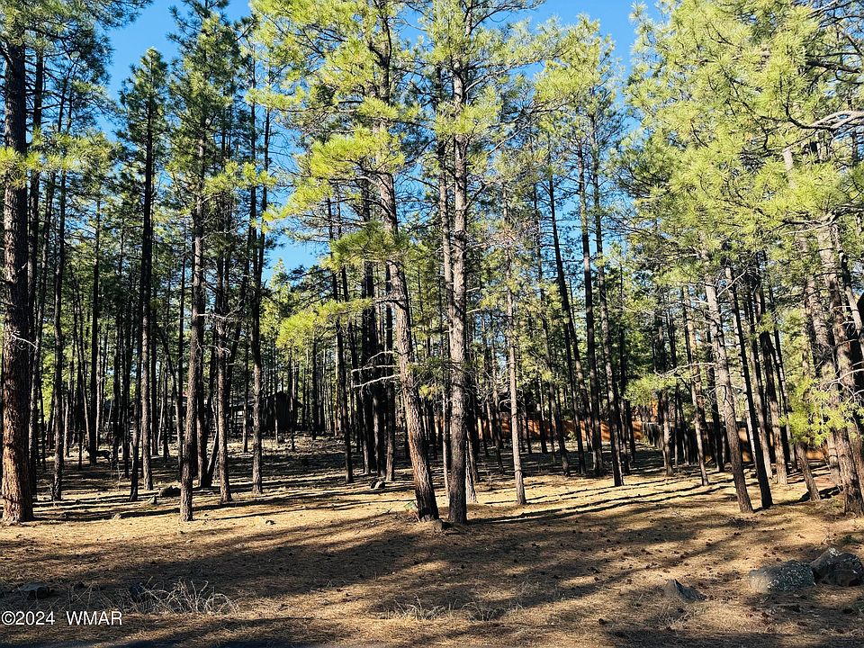 1st image of 2936 Blue Lake Cir