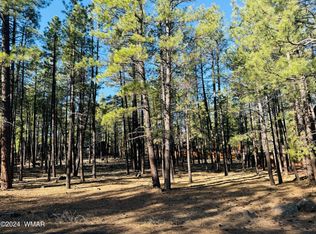 2936 Blue Lake Cir, Pinetop, AZ 85935