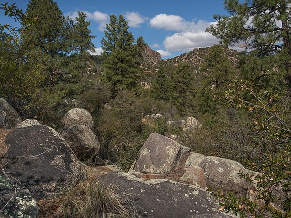 4th image of 545 Lodge Trail Cir
