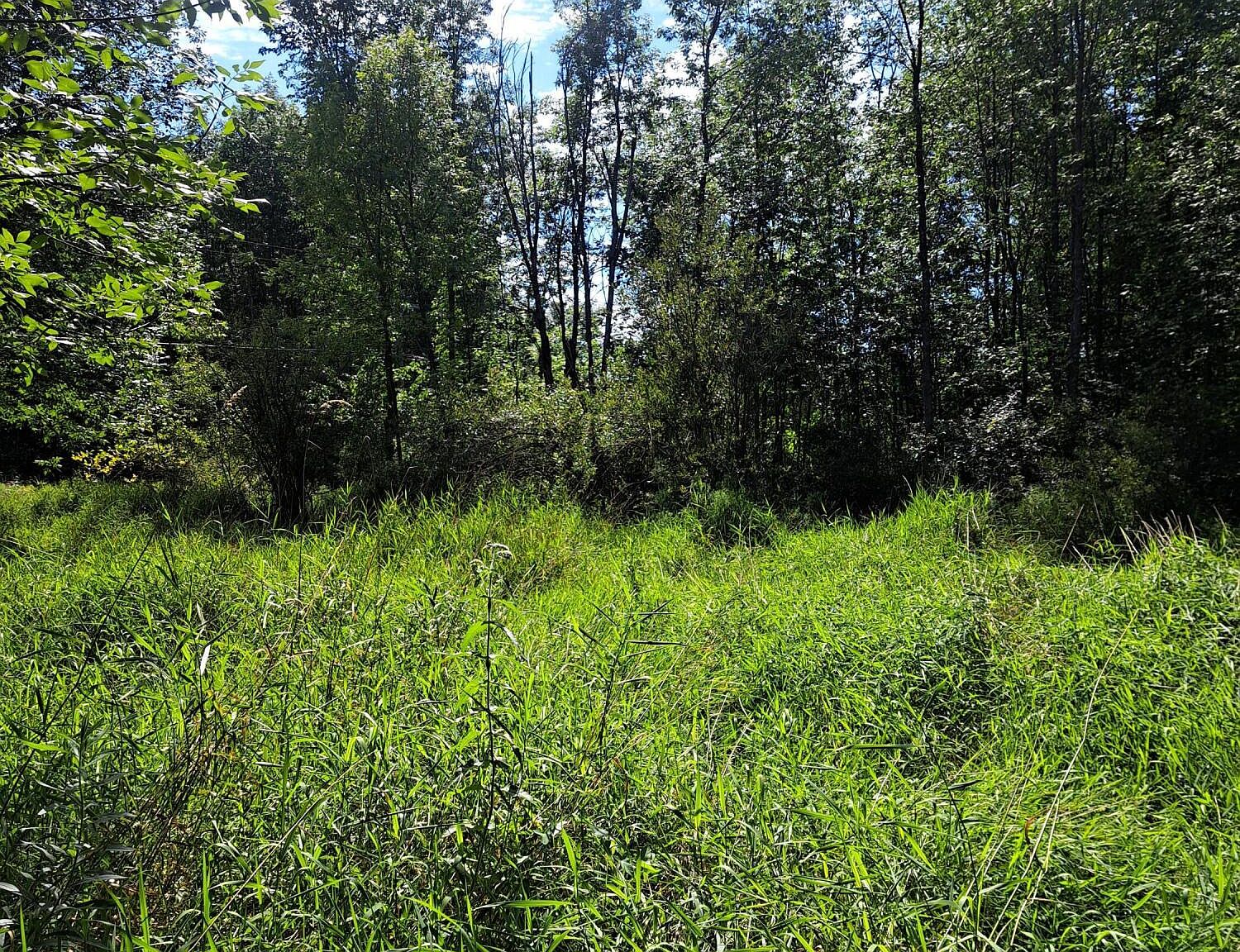 0 Burns Holden Rd, Fort Covington, NY 12937 Zillow