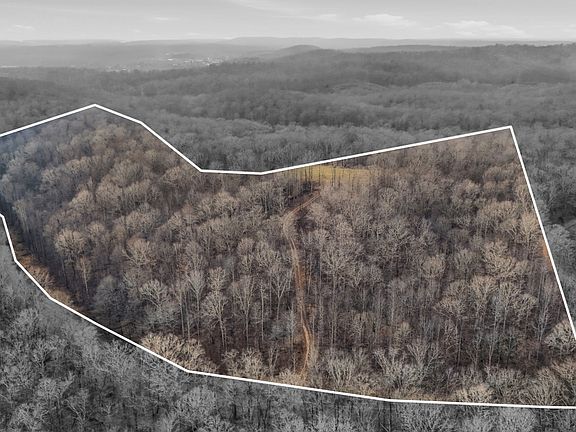 4th image of 1655 Box Hollow Rd