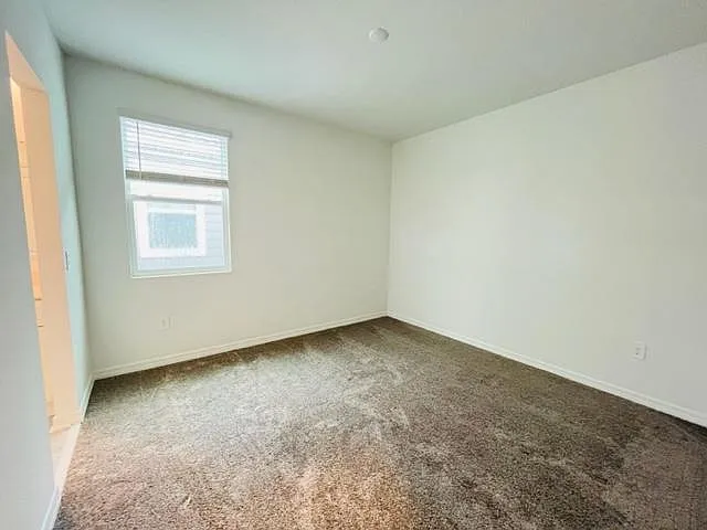 4146 Pino St — Photo 22