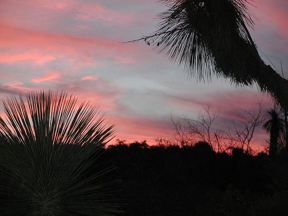 Hard to put a zestimate on this