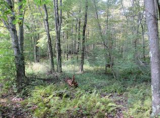 487 Perkins Pond Rd, Beach Lake, PA 18405