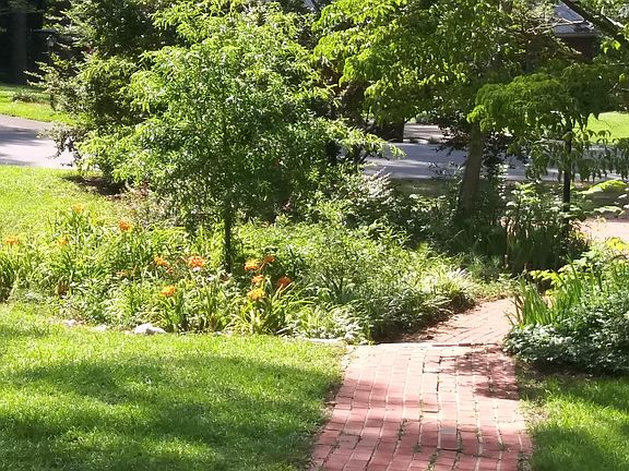 Sidewalk leading from front door to Brinn street parking and to mailbox