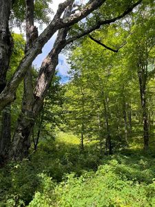 (Undisclosed Address), Hobart, NY, 13788