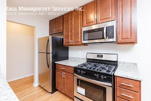 4816 N Springfield Ave #4 Photo 1
