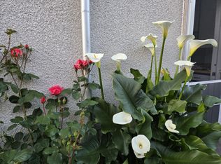 221 Park Ave N #3, Renton, WA 98057