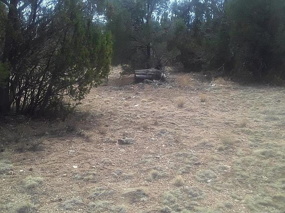 5th image of 31690 W Dulce Ln