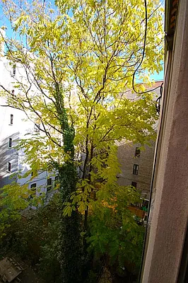 Rented by Bohemia Realty Group | media 9