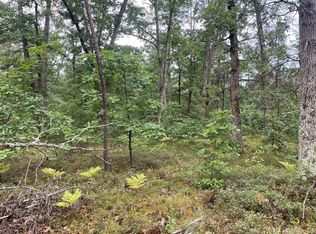 11 Mile Rd, Irons, MI 49644