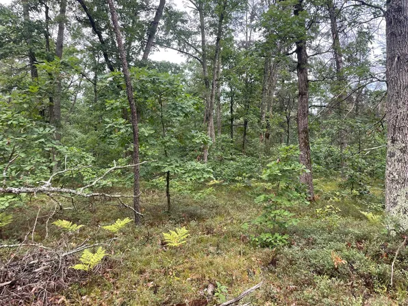 11 Mile Rd, Irons, MI 49644