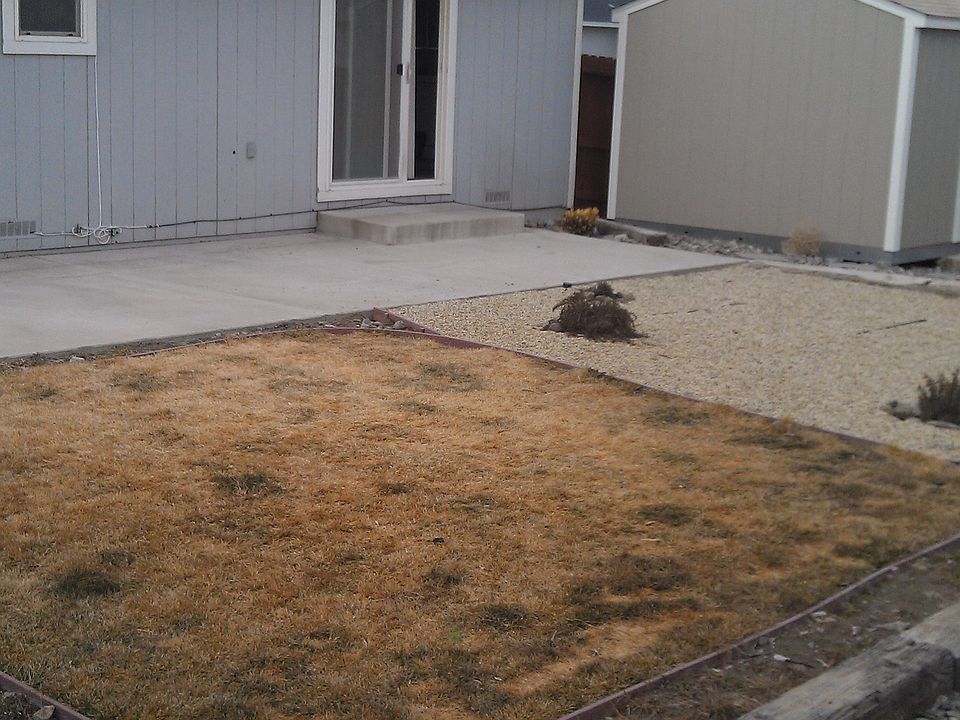 2nd image of 1501 Trubode Ln