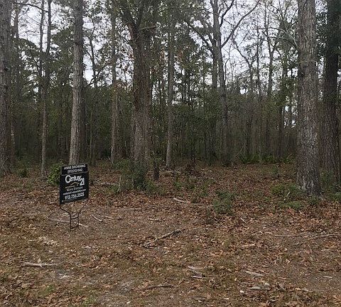 2nd image of 000 AZALEA Drive