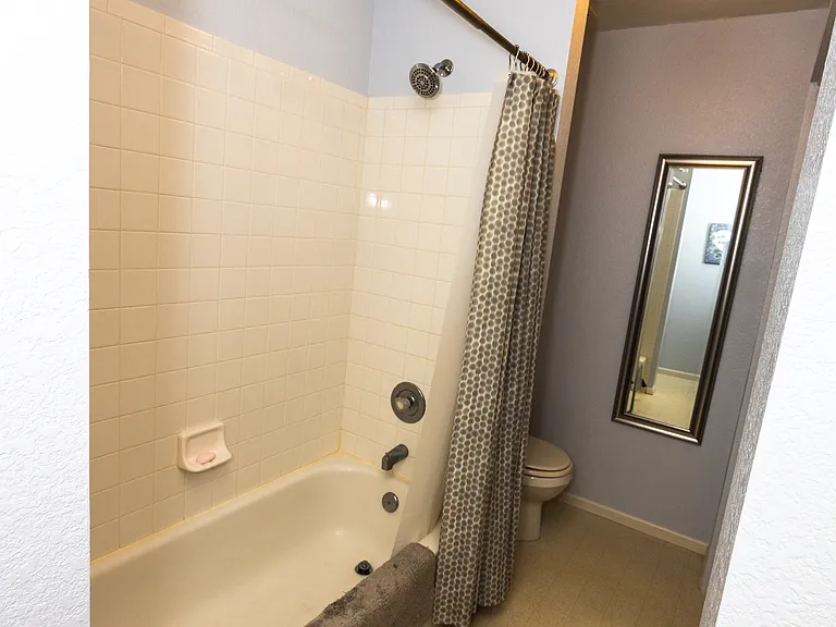 upstairs second bathroom, with full size closet with shelves for storage on the right, new vinyl plank floors