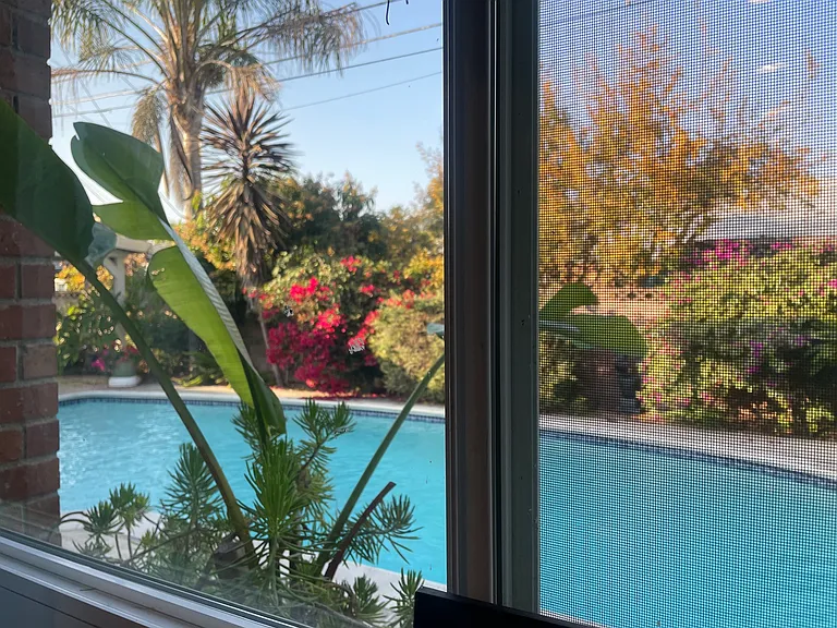 View from the kitchen nook.