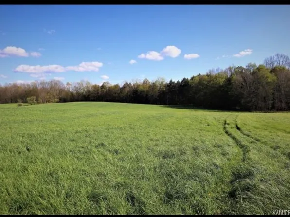 Route 39 Lot 8, Collins, NY 14034