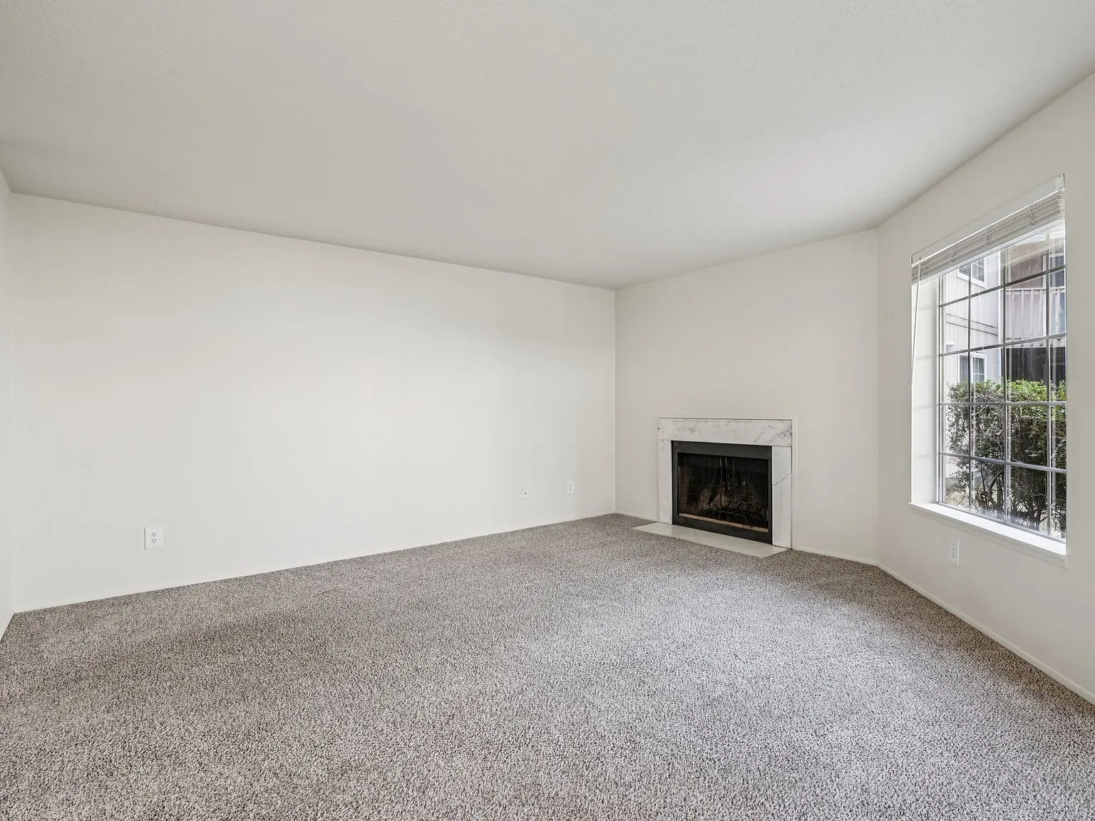 Wildflower Apartments — Photo 4