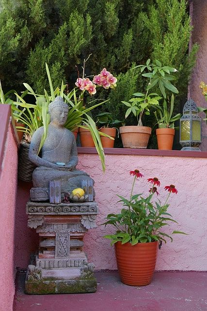 welcome buddha