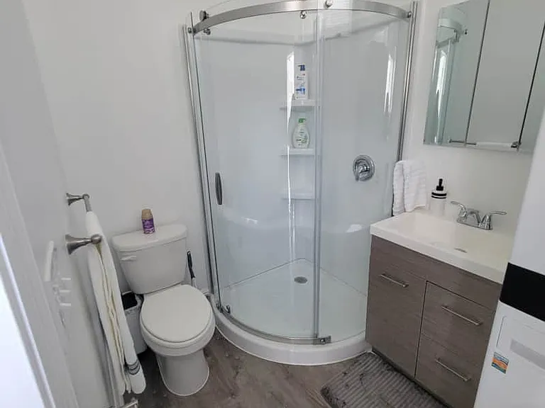Impeccable bathroom with toilet, spacious shower, storage cabinet and mirror.