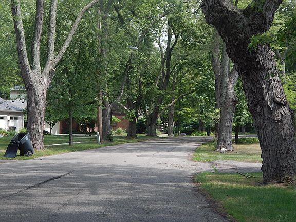 4th image of 277 Maplewood Dr