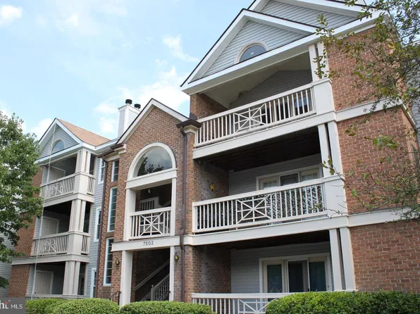7503 Ashby Ln, Alexandria, VA 22315