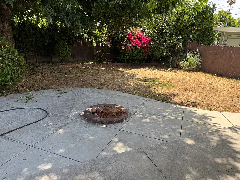 8606 Casaba Ave — Photo 56
