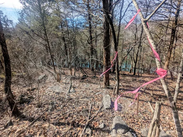 Lt 409,446 Blue Springs Road, Branson West, MO 65737