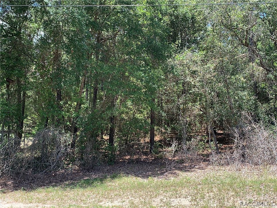 2nd image of 1215 Orchid Ave