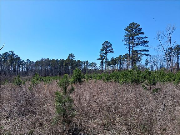 5th image of 16327 Slade Rd