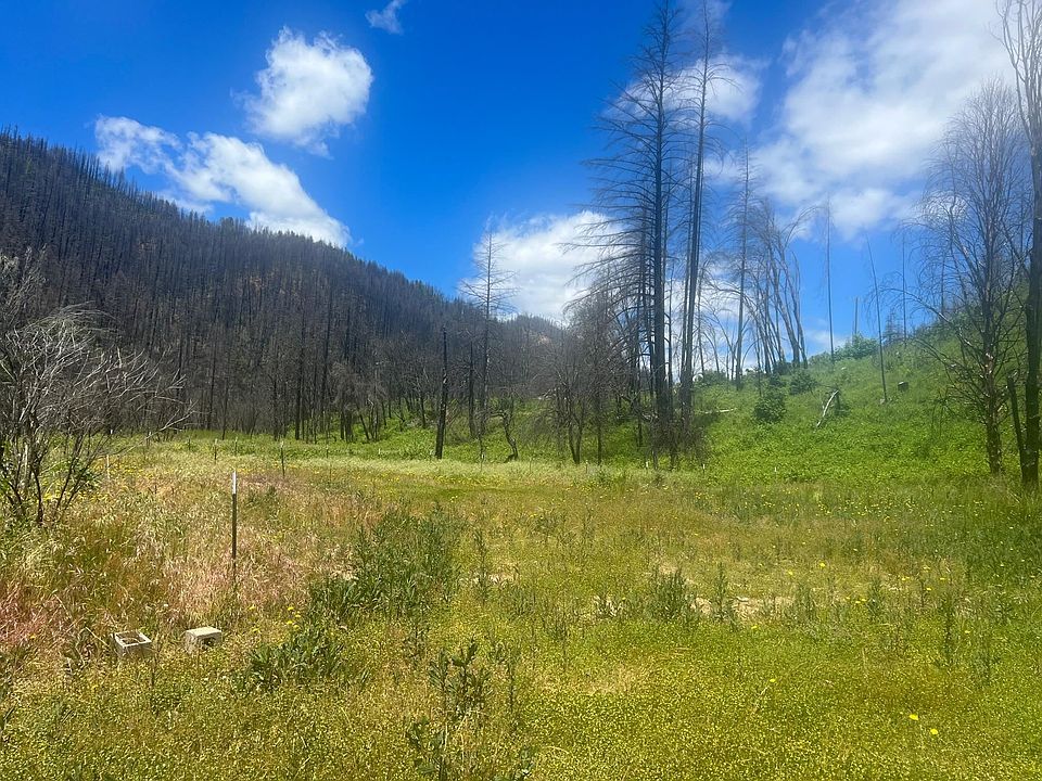 2nd image of 131 Indian Meadows Dr