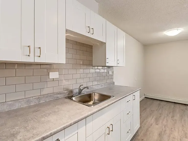 1658 3rd Ave NE #308 — Photo 4