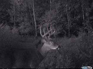 Pig St, Norwood, NY 13668