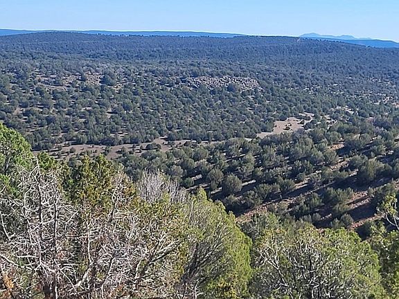 3rd image of 929 Forest Service Rd 721 A -- #929