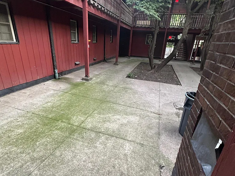 254 Oak St #7 — Photo 16