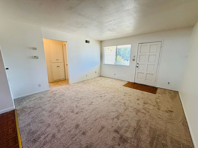 203 W Benjamin Holt Dr — Photo 3