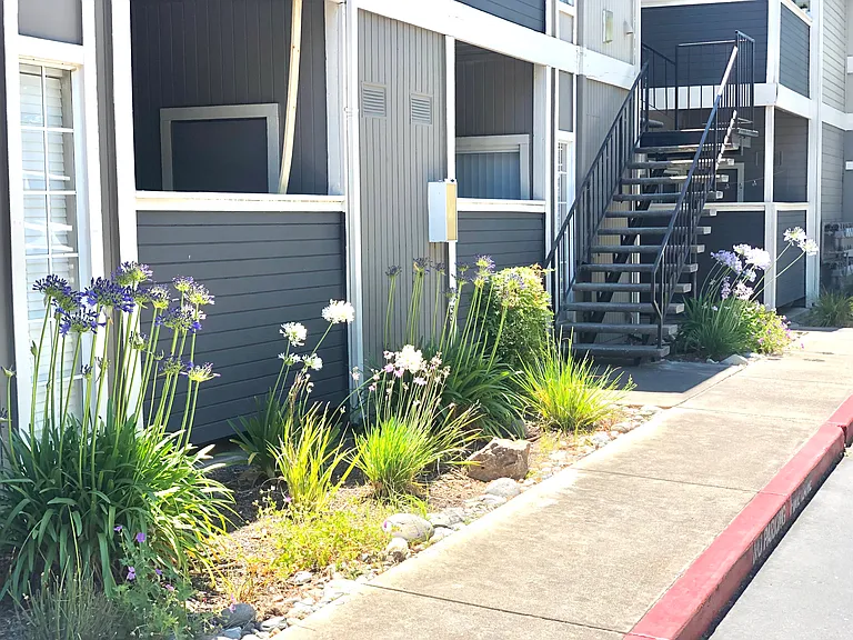 Camino Woods Apartments — Photo 19