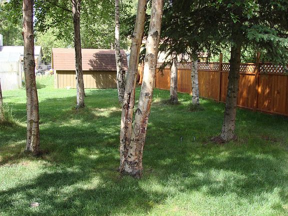 Part of back yard