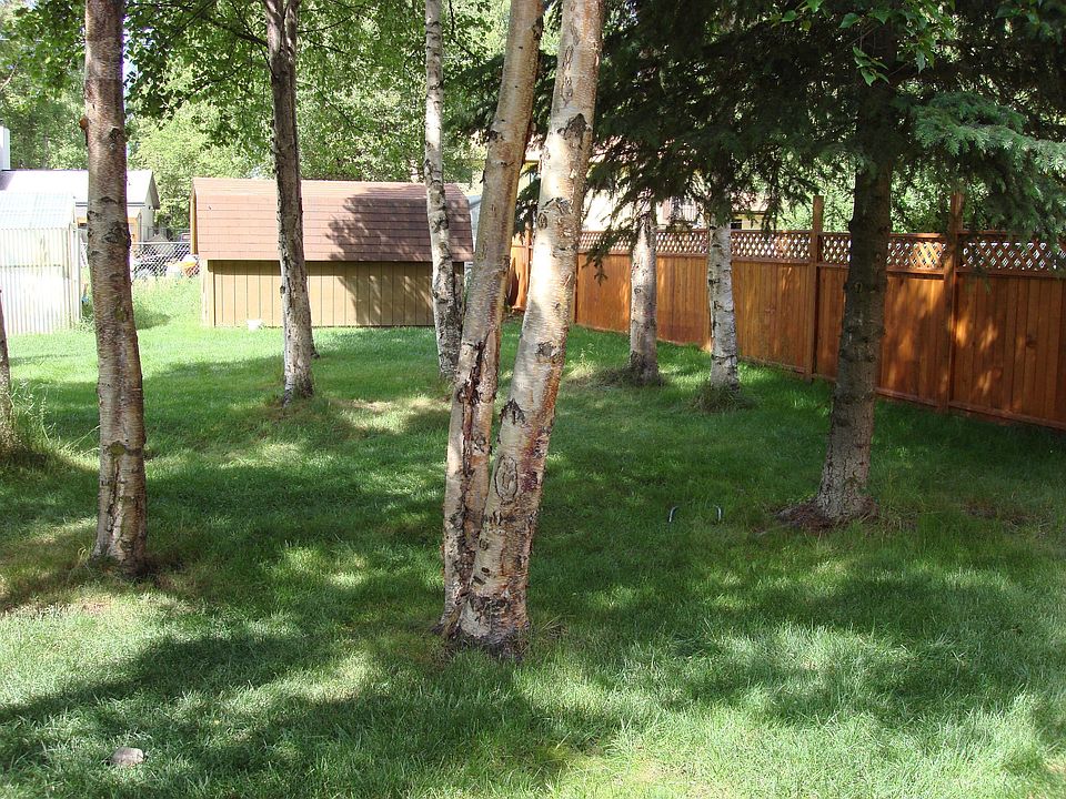 Part of back yard
