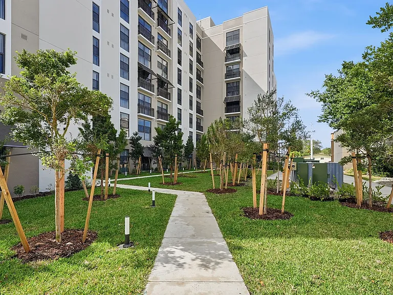 Brownsville Transit Village V — Photo 25