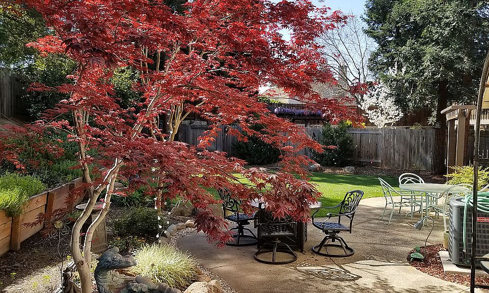 2nd image of 8504 Sienna Fell Ct