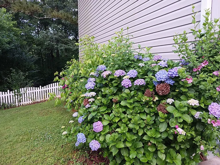 210 Pinehurst Ln — Photo 43