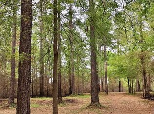 111 Brown Hill Rd, Elko, GA 31025